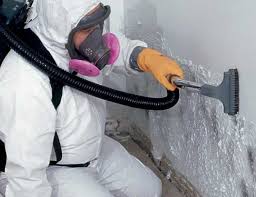 Best Commercial Mold Inspection  in Commerce, OK